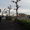 日本橋タワー写真