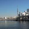 日本橋タワー写真
