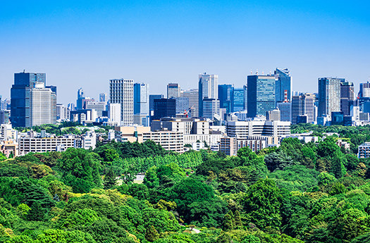 写真：新宿御苑