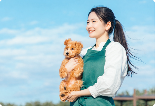 許認可にも対応